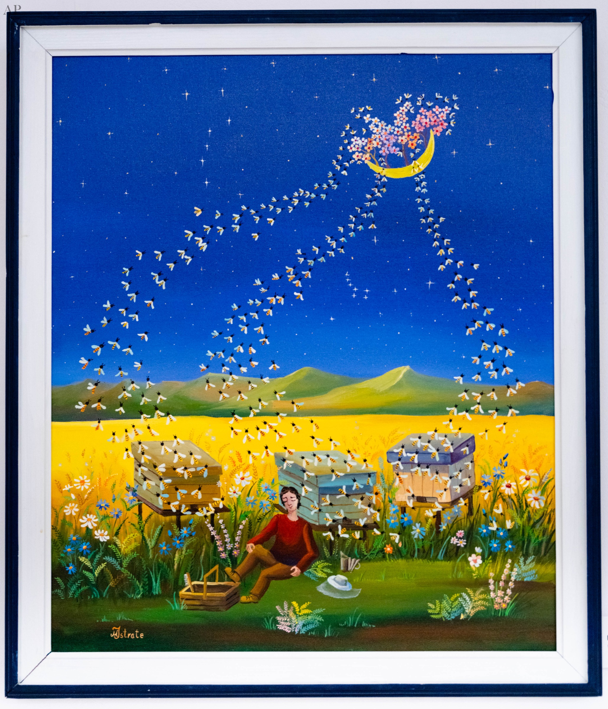 Visul - Maricela Istrate - arta naiva - Pictură contemporană - Vaslui