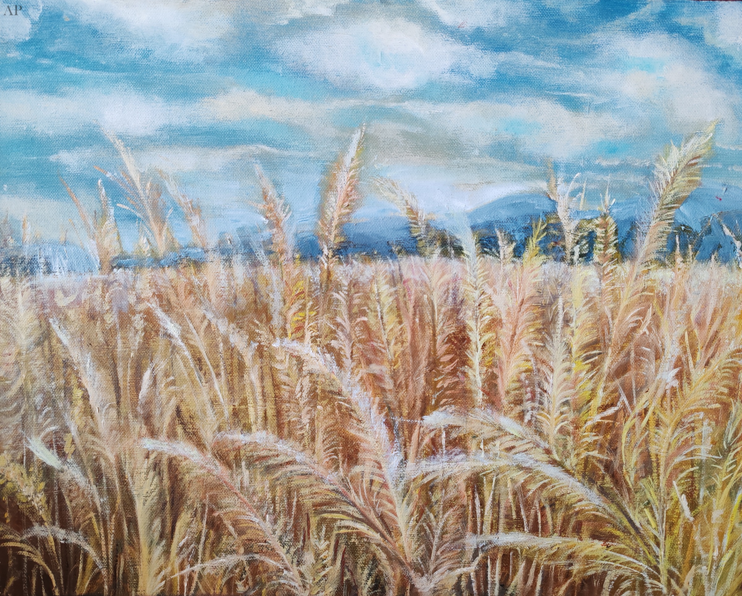 Lan de grau - Pictură contemporană - Alba