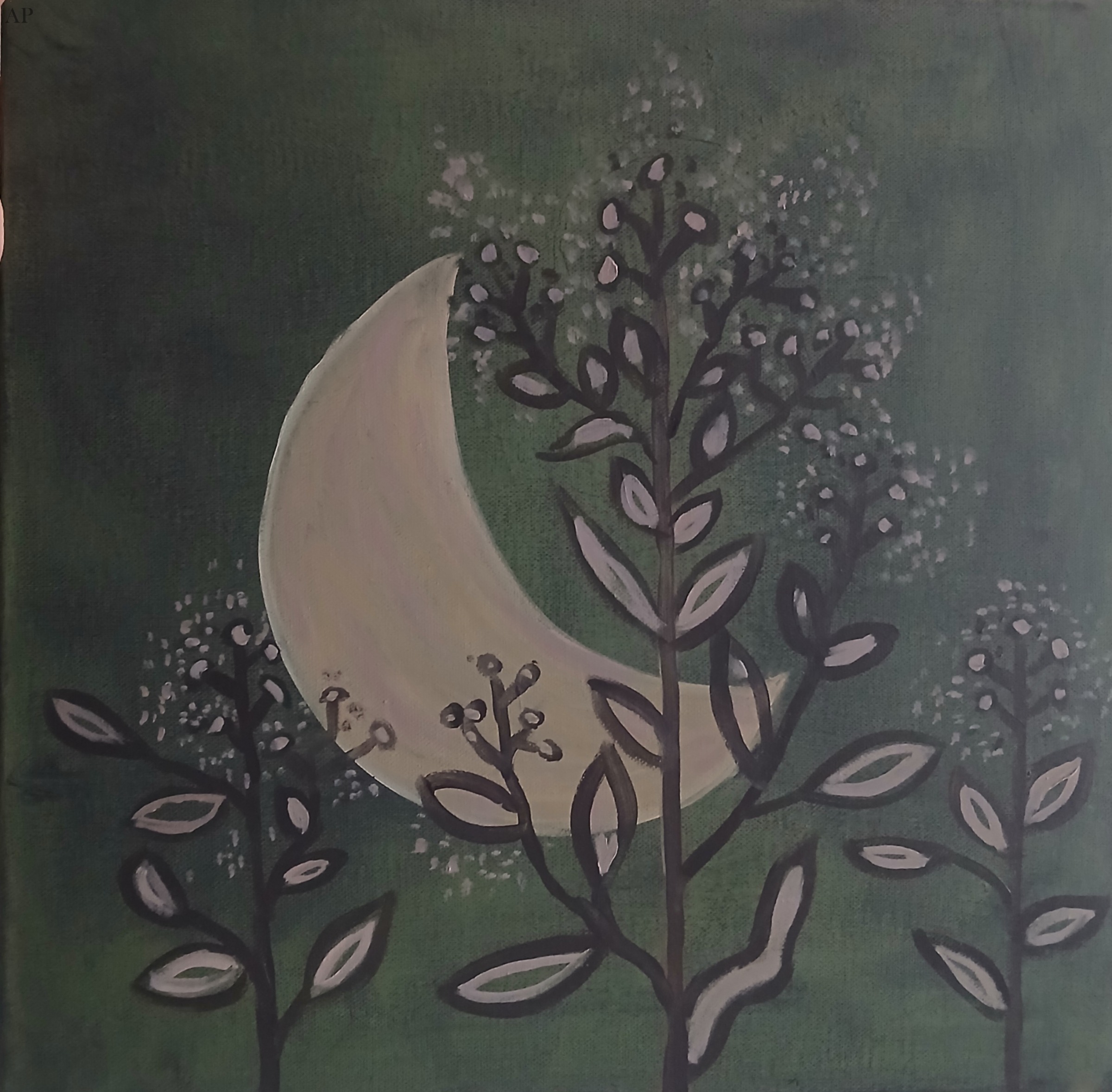 Moon - Lucrări diverse - Covasna